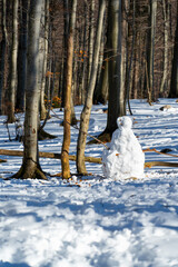 Snowman built among tall beech trees in snowy forest. Peaceful winter woodland scene at Ski resort Platak, Croatia