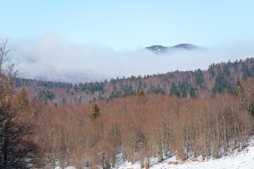 Winter mountain landscape with low clouds and mist floating above forested hills. Bare trees and patches of snow create calm seasonal atmosphere at Ski resort Platak, Croatia