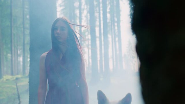 A woman in a red dress and a wolf venture through a misty forest