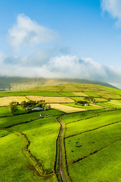Aerial view of endless lush pastures and farmlands of Ireland's