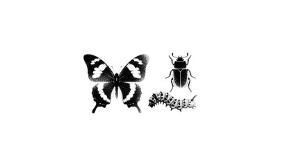 Y2K photocopy insect collage butterfly beetle caterpillar vector © MdJamanur