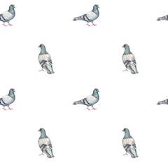 Obraz premium Watercolor seamless pattern with hand painted pigeons in soft gray and blue tones. Natural bird illustration for textiles, wallpapers, stationery, wrapping paper, and surface design.