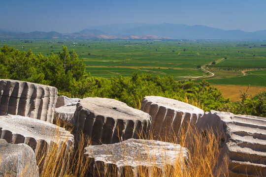 In the ruins of ancient Priene