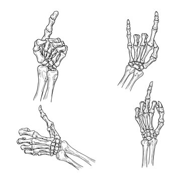 Skeleton hand in a heavy metal gesture, black and white sketch. Vector illustration. Drawing in simple style, set isolated on white background. Suitable for labels, Halloween signs. 