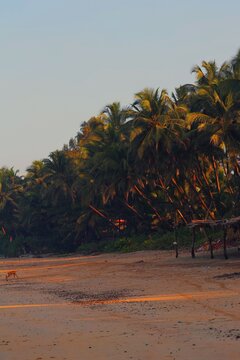 beach and sea in Alibaug, Maharastra