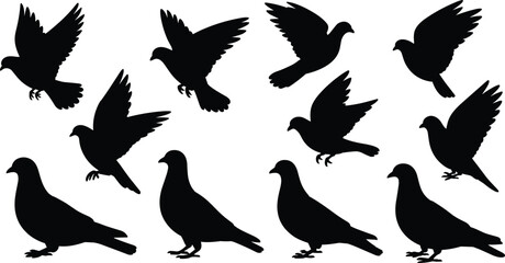 Obraz premium Collection of bird silhouettes in flying and standing poses, isolated on white background, black avian shapes for wildlife illustration and graphic design use