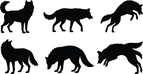 Fototapeta premium Set of wolf silhouettes in different poses including standing, walking and jumping, isolated on white background, wild animal illustration collection