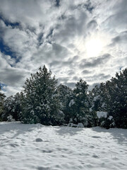 paisaje de invierno con nubes en el cielo y nieve