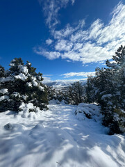 paisaje de nieve y cielo azul