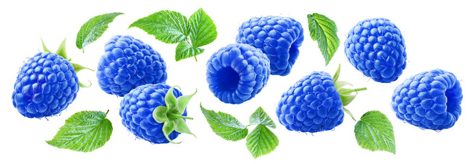 Set of ripe flying raspberries with leaves isolated on transparent background.