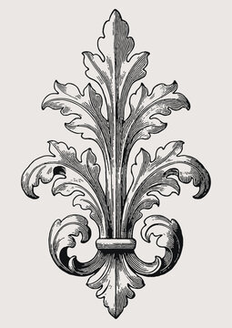 Vintage engraving style vector illustration of fleur du liis with acanthus rolls
