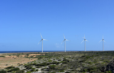 Wind Power Turbines Along the Shore in Aruba
