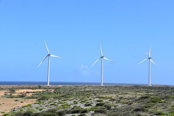 Windmills Along the Rural Coast of Aruba