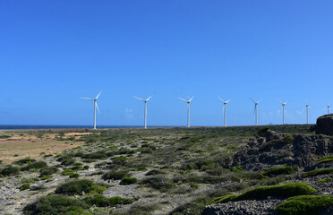 Series of 8 Windmills and Turbines Along the Coast