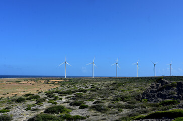 Wind Turbines in a Row Along the Coast