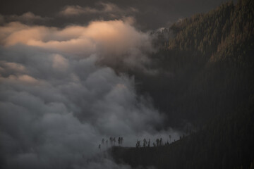 Fototapeta premium Breathtaking high-angle view of dense fog and clouds rolling over a pine forest during golden hour. Featuring dramatic lighting and deep textures.