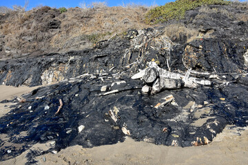 Asphalt Rock Formation on a Beach in California