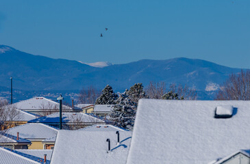 Snow-covered roofs in a Colorado neighborhood with the mountain range in the distance