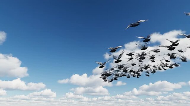 Flock of pigeons flying in sky