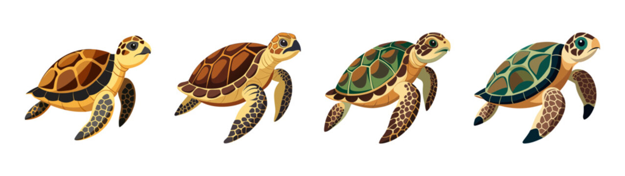 A colorful illustration of four baby turtles swimming in a row on a transparent background