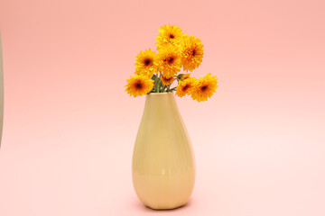 ピンク背景の花瓶に活けた菊