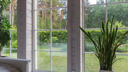 Modern residential window with garden view, natural daylight in contemporary home interior