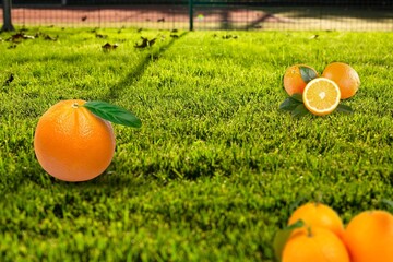 Obraz premium Fresh green grass with orange fruits scattered