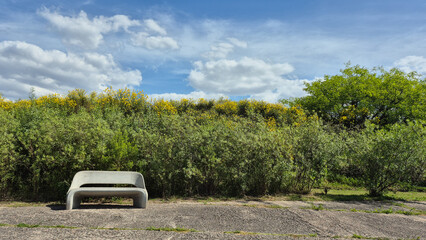 Lonely Concrete Bench with Trees and Blue Sky with White Clouds