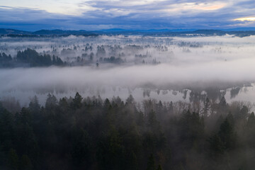 A blanket of fog drifts over the Willamette River just south of Portland, Oregon. The Pacific Northwest is known for its scenic forests, waterfalls, and rivers, as well as its wet weather.