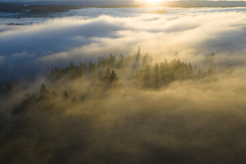 A blanket of fog drifts through the sunlit Willamette Valley just south of Portland, Oregon. The Pacific Northwest is known for its scenic forests, waterfalls, and rivers, as well as its wet weather.