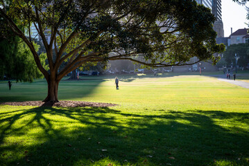 Person walking across The Domain is a heritage-listed of open space on the eastern fringe of the Sydney central business district, Sydney, NSW, Australia