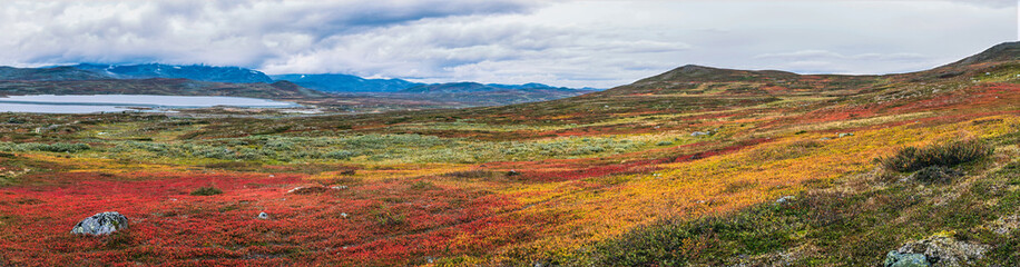 Stekenjokk plateau landscape showing colorful autumn vegetation © Alexandre Patchine