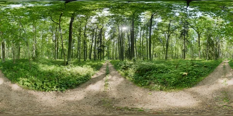 Fototapeten Waldweg 360 degrees spherical 6k panorama view of a green wild forest road in summer. Estonia, Europe  © Martin