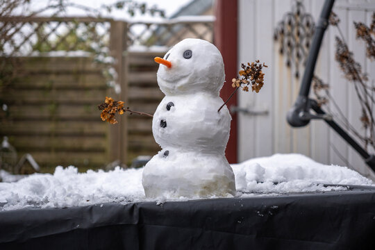 Schneemann 2026