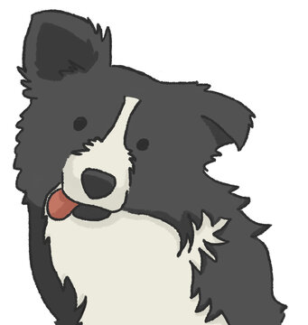Perro