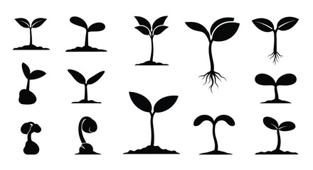 Various stages of plant growth depicted in black silhouette