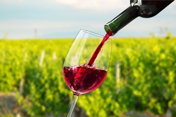 Obraz premium Scenic of glass of wine against green vineyard