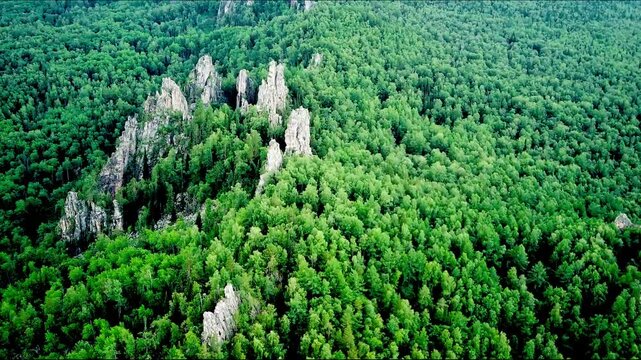 Bird's eye view on mixed green forest and rocks from mountain during summer day. Aerial view of a through deep forest. Bird eye view of a Green Forest road. Drone shot.