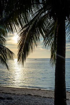 Tropical beach with palm trees at sunset light. Thailand islans, trevel vacation vibes.