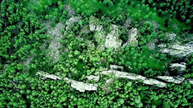 Bird's eye view on mixed green forest and rocks from mountain during summer day. Aerial view of a through deep forest. Bird eye view of a Green Forest road. Drone shot.