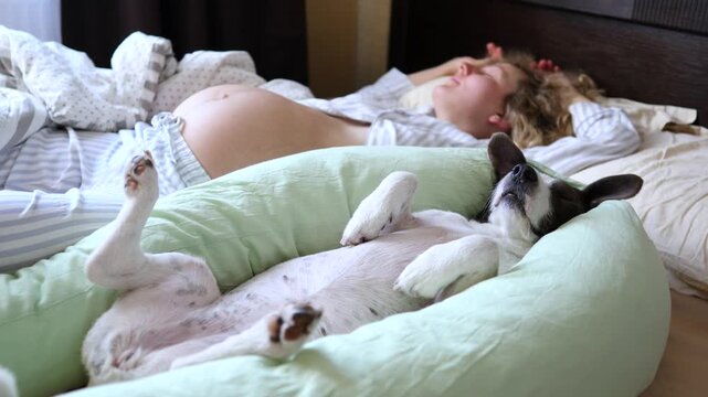 Pregnant woman and her dog sleeping soundly in a cozy bed, both resting deeply in similar positions during a peaceful morning nap, showcasing a heartwarming bond between a pet and owner