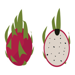 Summer tropical fruit. Abstract hand-drawn illustration of dragon fruit.