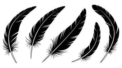 Vector illustration of feathers in flight, showcasing elegance and simplicity from a side view.