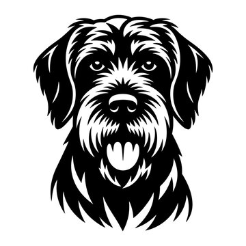 Wirehaired Pointing Griffon Dog