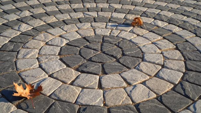 Circular patio design with alternating dark and light stone pavers showing a radial pattern and a fallen leaf