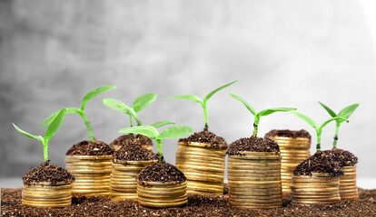 Naklejka premium Holly bible book with money coins on desk