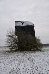 Ruiny wiatraka koźlaka w polu © rychu.pl