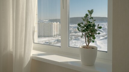 Fototapeta premium Small potted foliage sits upon a windowsill overlooking a snow-covered urban landscape.