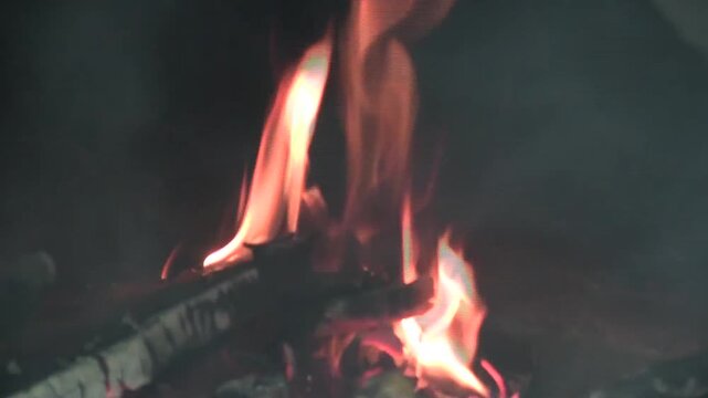Feu de bois