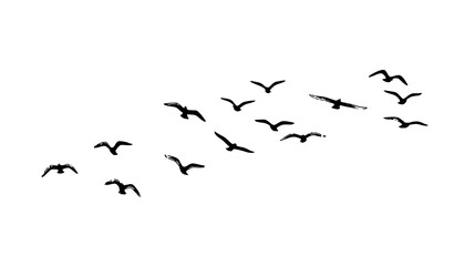 Flying birds ink line silhouette flock vector set © MdGohurul